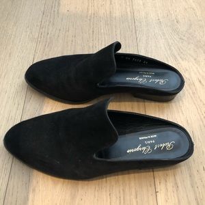 Robert Clergerie Slides